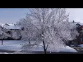 Minnesota snow fall Beautiful snow Typical winter day in Minnesota