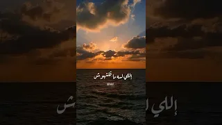 جوايا ليكي اللي لسه مقلتهوش اكسبلور Explore تصميمي 