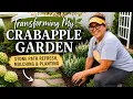 Transforming My Crabapple Garden Stone Path Refresh Mulching Planting