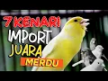 Download Lagu 7 JENIS BURUNG KENARI IMPOR PALING BAGUS SUARANYA DAN MENTAL JUARA