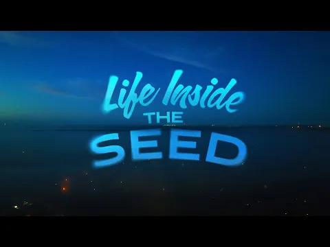 Life Inside the Seed Trailer