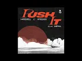 Hardwell & AFROJACK - Push It (feat. MERYLL) (Instrumental)