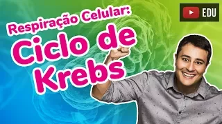 Respiração Celular - Parte 2 - Ciclo de Krebs - Prof. Paulo Jubilut