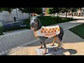 Shakespeare RenAIssance Technologies Univ Tennessee Knoxville