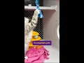 Omaha students make rope toys for pets at Nebraska Humane Society