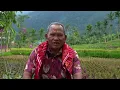 Download Lagu PESTA REBU REBU KABUPATEN DELI SERDANG