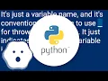 What is the purpose of the single underscore - variable in Python