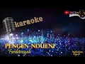 Download Lagu PENGEN NDUENI KARAOKE - FERDIANSYAH
