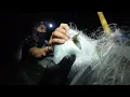 Download Lagu BANYAK HASIL MENJARING IKAN MALAM HARI DI LAUT#fishing