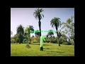 jigitz - tell you straight (Badger's version)