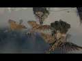 Download Lagu Surya Nusantara • TVC Edisi 2025 • Iklan Indonesia 60 sec
