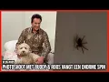 Lagu PHOTOSHOOT MET BUDDY \u0026 ROOS VANGT EEN ENORME SPIN - GERARD JOLING - VLOG #695
