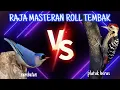 RAJA MASTERAN ROLL TEMBAK RAMBATAN DAN PLATUK