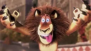 DreamWorks Madagascar Wild Alex Compilation Madagascar Funny Scenes Kids Movies