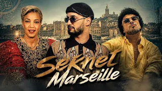                             دندنها