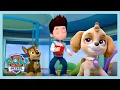 Download Lagu Dance With Paw Patrol | Paw Patrol | Wildbrain Little Jobs