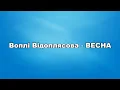 Воплі Відоплясова - ВЕСНА (Текст)  (English and Ukrainian subtitles/lyrics)