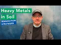 Heavy Metals in Soil Remediation Strategies