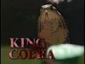 Download Lagu National Geographic: King Cobra (1997)