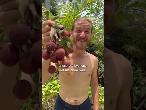 This Fruit Has the Coolest Texture
