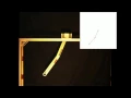 Double Pendulum 7