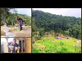 Download Lagu LIVING IN THE COUNTRYSIDE IS LIKE THIS, A ROUTINE WITH THE ANIMALS ON THE FARM