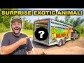 STRANGER Surprises Me with NEW EXOTIC ANIMAL for the BACKYARD FARM