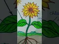 PHOTOSYNTHESIS