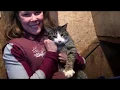BARCS Working Cat Program