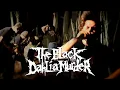 Download Lagu The Black Dahlia Murder - Funeral Thirst (OFFICIAL VIDEO)