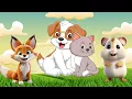 Download Lagu Farm Animal Habitat: Puppy, Cat, Hamster, Mouse – Animal Moments