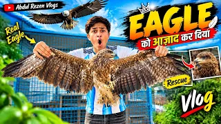 Eagle π¦
Ko Jungle Me Azad Kar Diya π