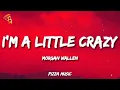 Lagu Morgan Wallen - I'm A Little Crazy