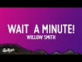 Download Lagu Willow Smith - Wait a Minute! (Lyrics)