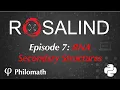 Rosalind Problem Solving in Python Episode 7 - RNA Secondary Structures