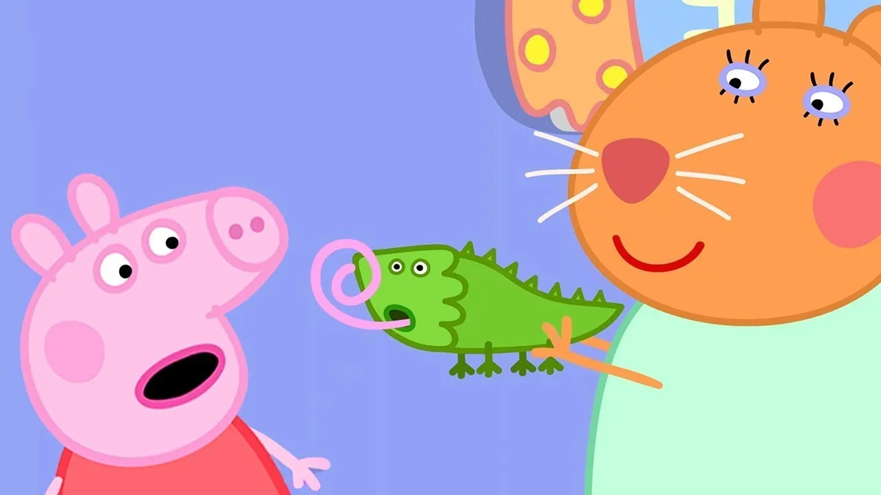 Peppa Pig Official Channel | Dr Hamster’s Tortoise | Kids Videos