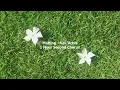 Kali Uchis - Melting (1 Hour Second Chorus)