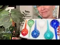 Do Plant Watering Globes Actually Work