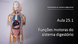 Videoaula 25.1 Funções motoras do sistema digestório