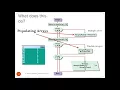 Visual Basic Programming - Intro to Arrays