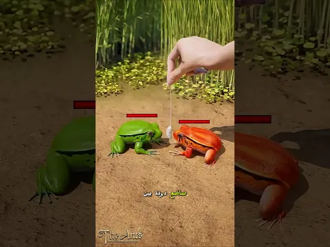 ملكة النمل تصنع جيشًا لا يُهزم! 😱🐜