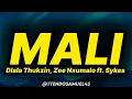 Dlala thukzin, Zee Nxumalo - Mali (lyrics) ft. Sykes