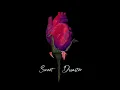 vandal moon - sweet disaster