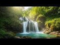 Download Lagu Aliran Tenang – Suara Air yang Menenangkan untuk Tidur – ASMR – Tanpa Satwa Liar – Relaksasi Aliran Lembut