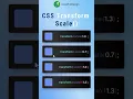 CSS transform Scale