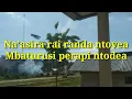 Download Lagu Karaoke lirik randa ntovea versi keyboard (sulawesi tengah)