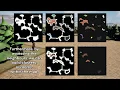 Cellular Automata Maps in Unreal Engine 5