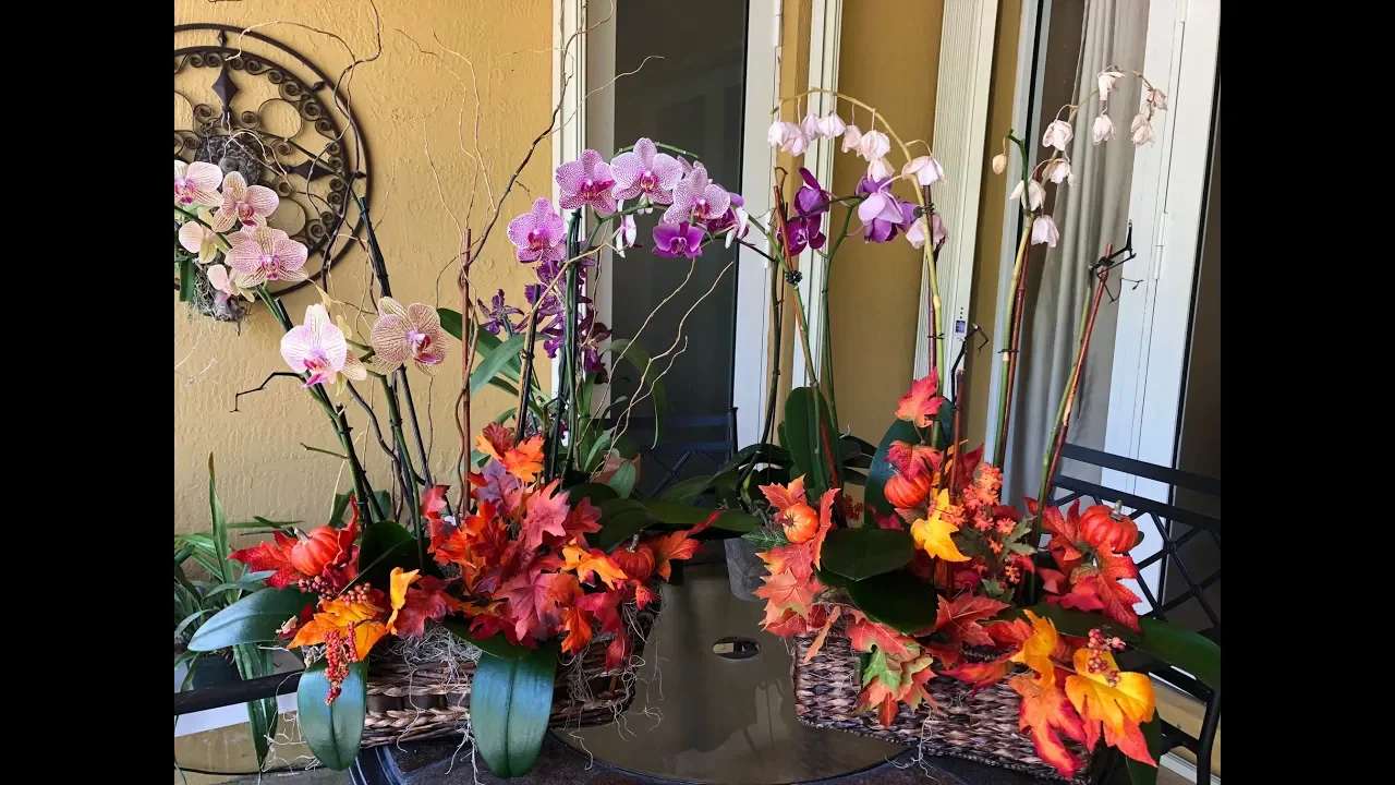 PHALAENOPSIS ORCHID ARRANGEMENT UPDATE, HOW TO SAVE YOUR ORCHIDS