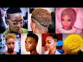 Download Lagu 70 + Short Hairstyles And Haircuts For Black Women; Tiny Kinky \u0026 Afro Curls Short Hairstyles