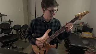 Steely Dan - Do It Again guitar solo cover